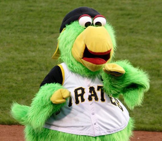 pittsburgh pirate parrot plush