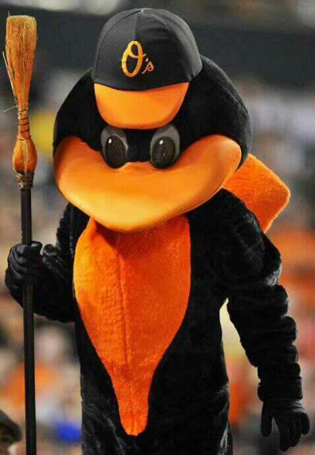 baltimore orioles stuffed mascot