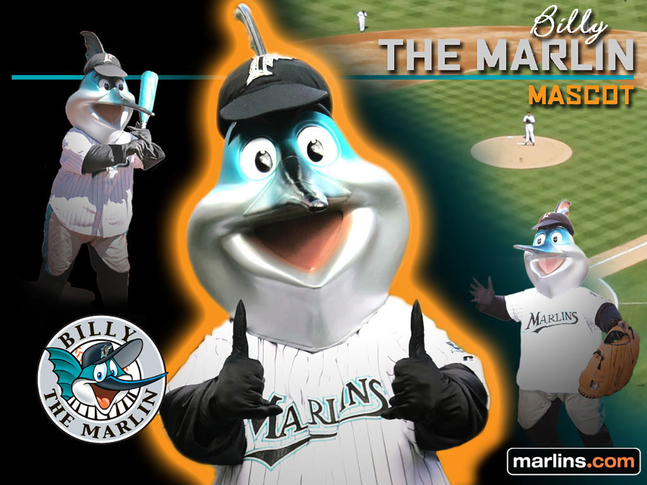 Billy the Marlin - MLB Miami Marlins Mascot