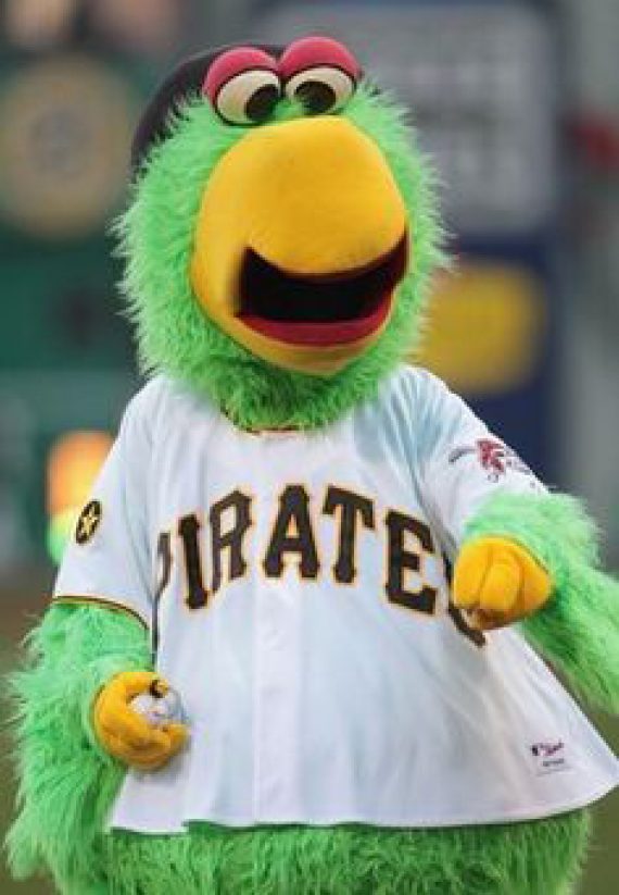 Pirate Parrot - PIttsburgh Pirates - SportMascots.com