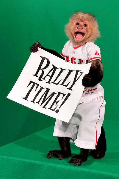 Rally Monkey - MLB Los Angeles Angels of Anaheim Mascot