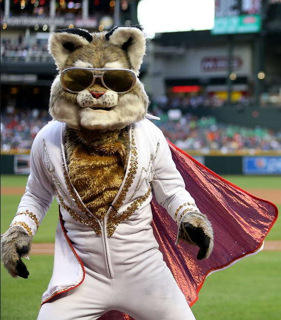 Why is the Diamondbacks' mascot a bobcat instead of a snake?