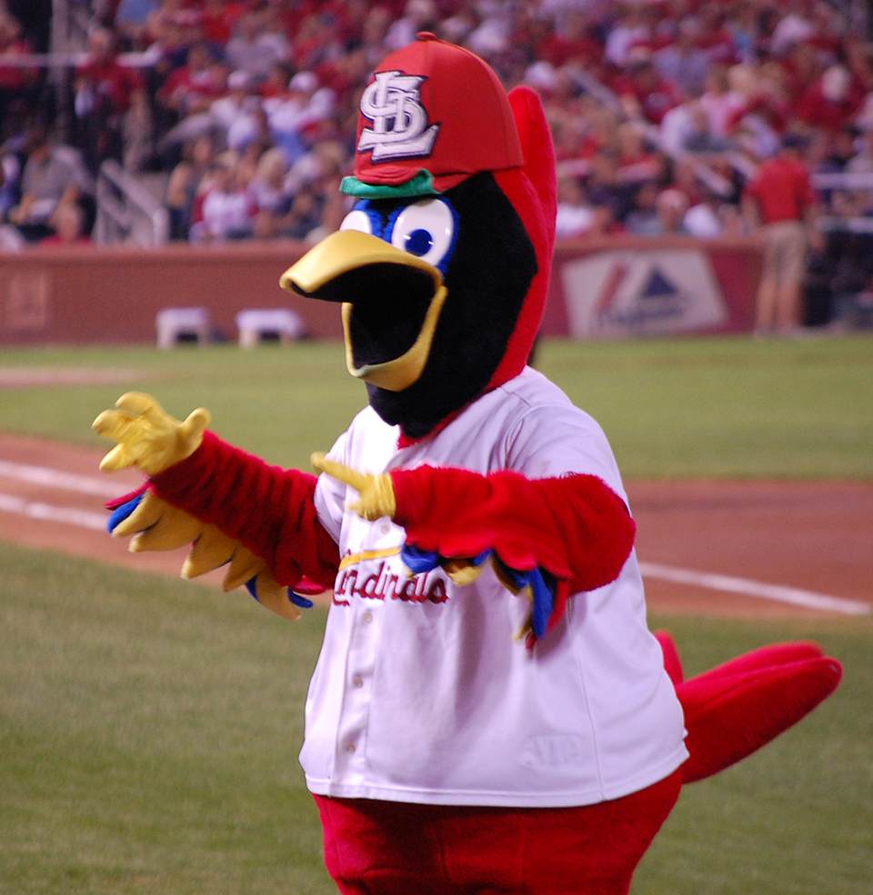 Fredbird - St Louis Cardinals Mascot, YES, that is right Fr…