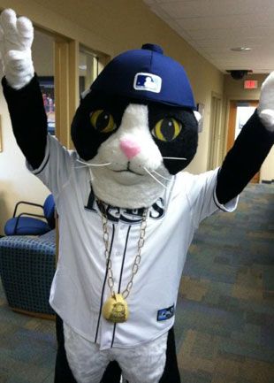 Other, Tampa Bay Rays Dj Kitty Mascot Head Hat Mask