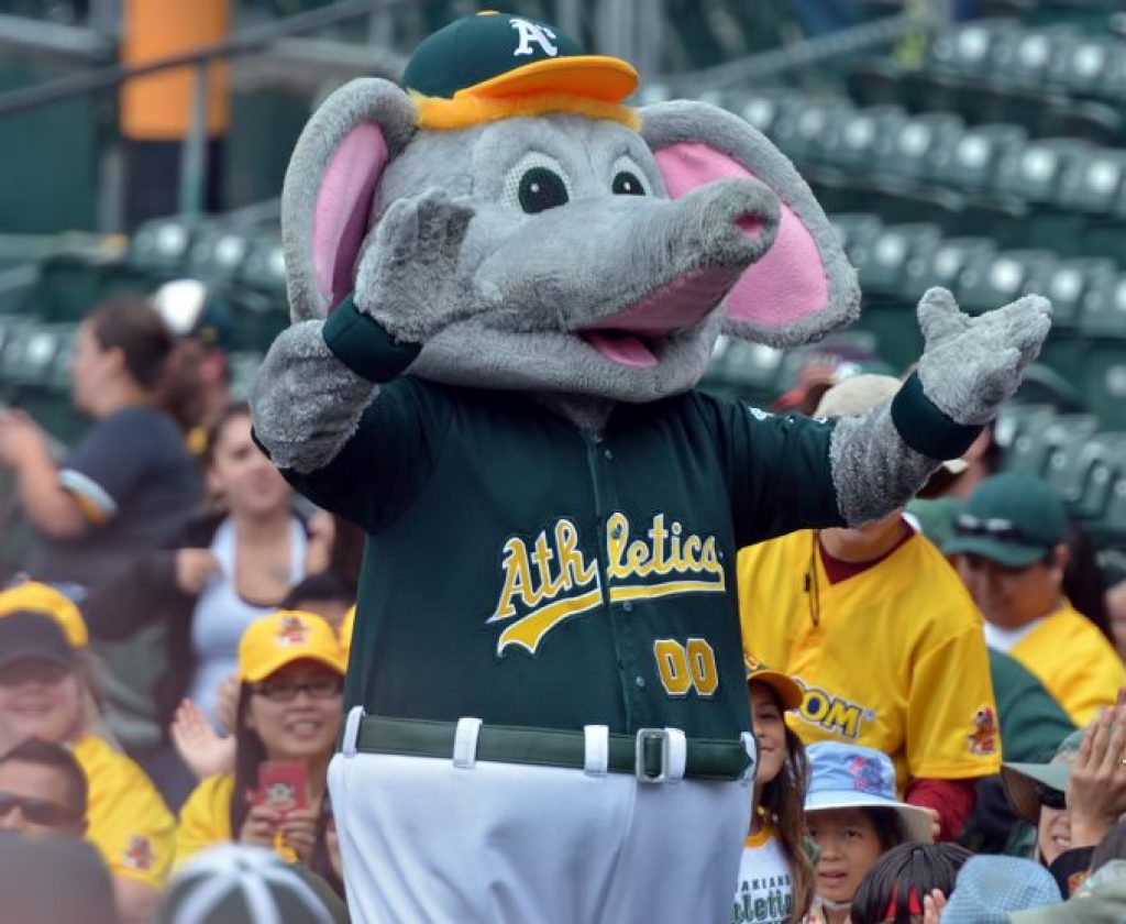 MLB Oakland Athletics A’s Hat Cap Elephant Bats Stomper MLB