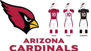 Arizona Cardinals NFL official mascot