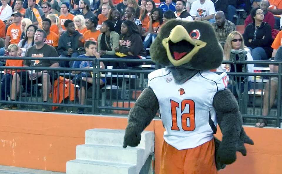 Who is Freddie the Falcon? – WHS Today