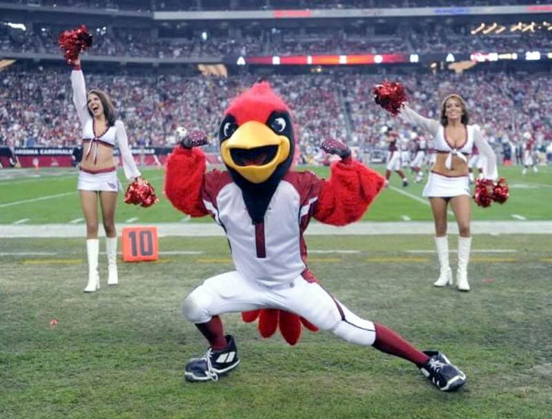 Arizona Cardinals mascot Big Red while playing the Seattle