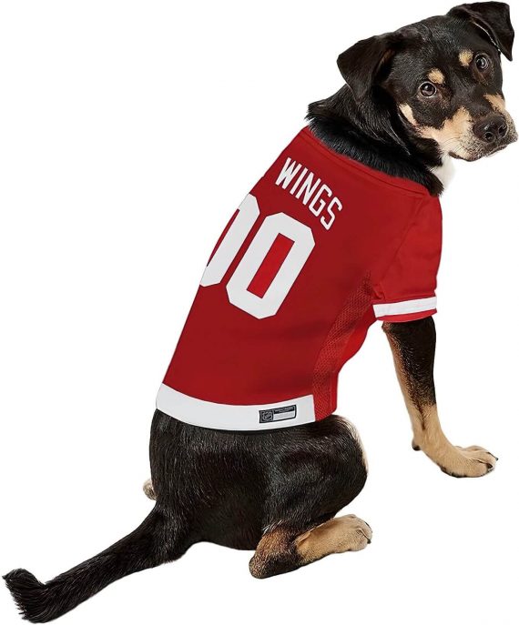 Black Dog wearing Detroit Red Wings NHL pet jersey