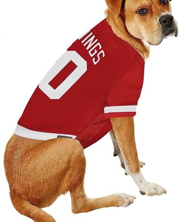 Yellow Dog wearing Detroit Red Wings NHL pet jersey