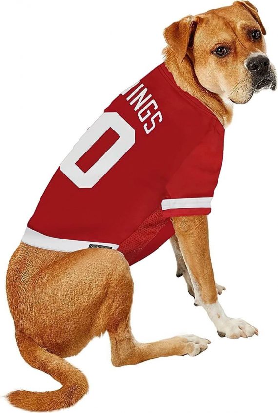 Yellow Dog wearing Detroit Red Wings NHL pet jersey
